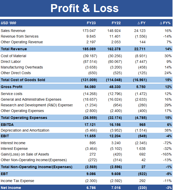 Profit & Loss Statement