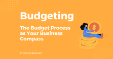 The Budget Process as Your Business Compass